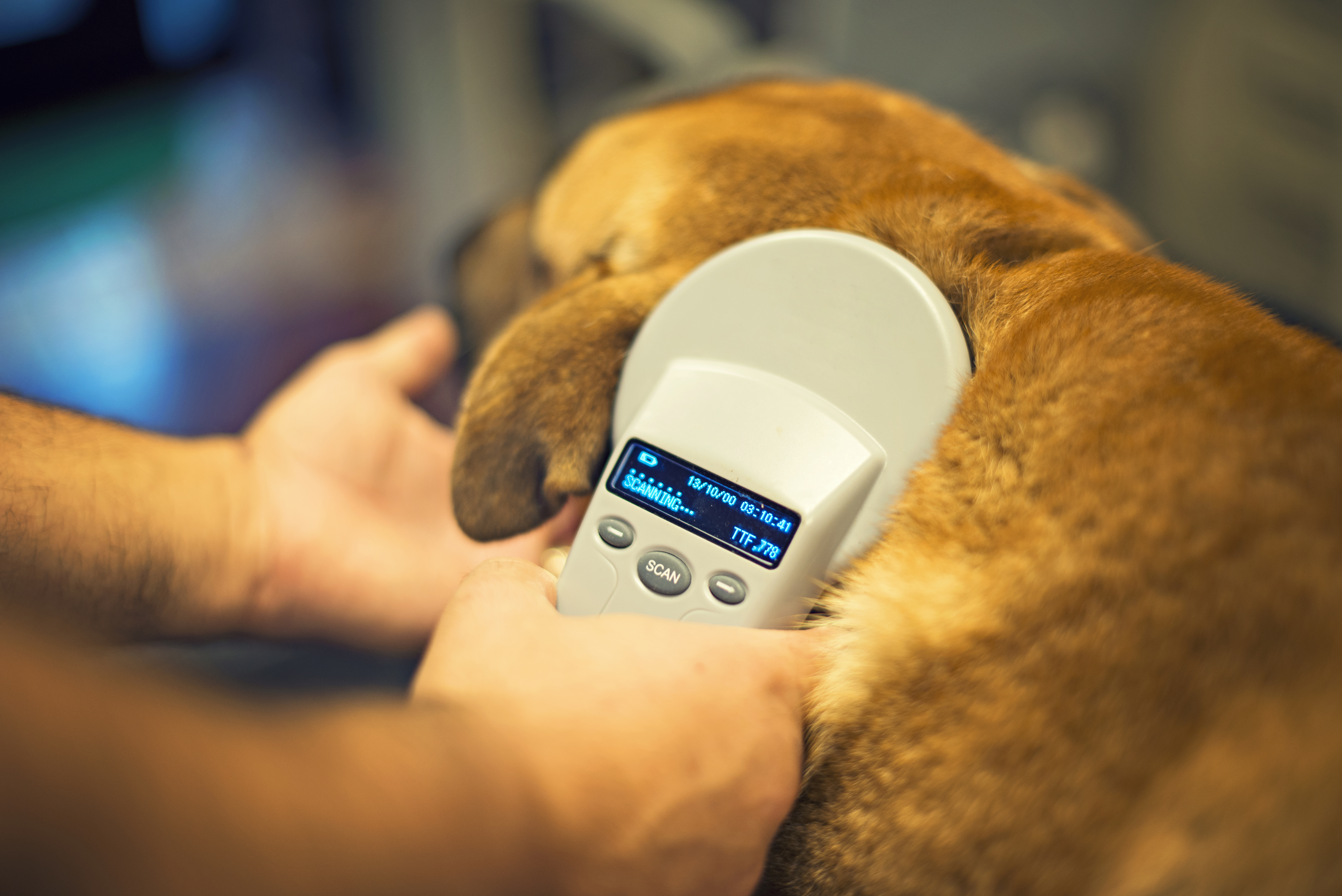 Microchip Check